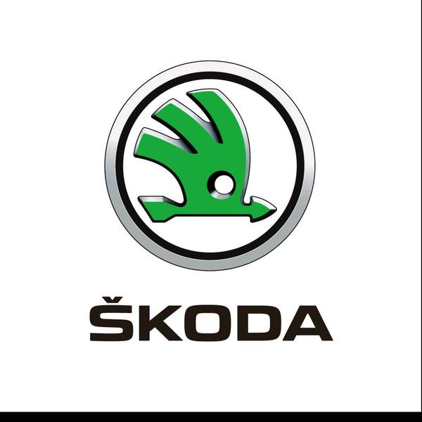 岳阳湘天佐哥头像