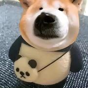 快乐的二狗的个人资料头像