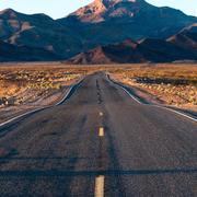 LF183的个人资料头像