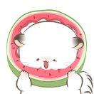 Puck的个人资料头像