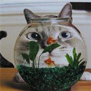 db7810c1419211e983ee5b4f614eb33d的个人资料头像