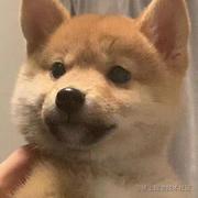 Mmmmmmmin的个人资料头像