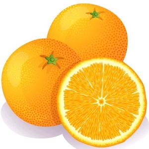 幸福的橙子hcb头像