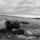 Jorion的个人资料头像