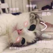 轻喃的个人资料头像