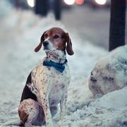 我的天479的个人资料头像