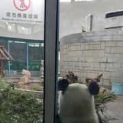 齐老大的憨憨的个人资料头像