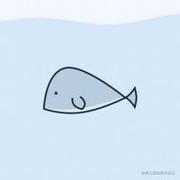 西程243的个人资料头像