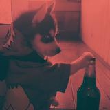 北黎155头像