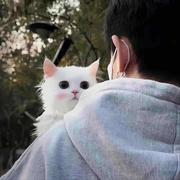 Jarmin灬的个人资料头像