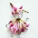 求同存异否的个人资料头像