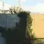 阿杰吃柠檬的个人资料头像