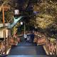 苍山井名唤空 · 奔驰E级车主·车龄3年头像