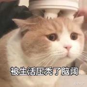 lemaker的个人资料头像