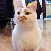 tb3706666的个人资料头像