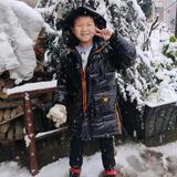 齐天大圣头像