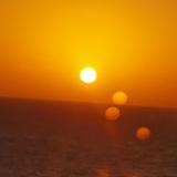 才思敏捷奶酪pG头像