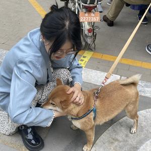 壹零的快活日子头像