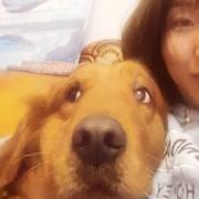 是铁锤啊的个人资料头像