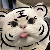 三千里181头像