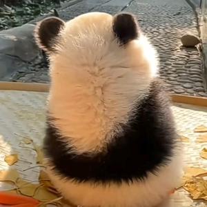 竹林萌萌墩头像
