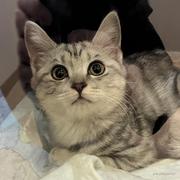 zhouhzsss的个人资料头像