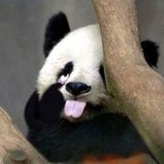 Clever的个人资料头像