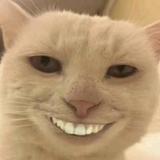 滑成宝马666头像