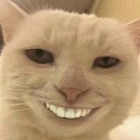 滑成宝马666头像