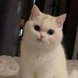 取舍头像