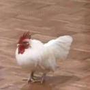 吖米多的个人资料头像