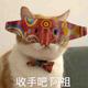 LeftP67 · 朗逸车主·车龄3年头像
