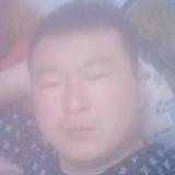 柴柴爱爱头像