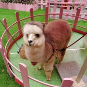 专注于蓝牙产品的小王的个人资料头像