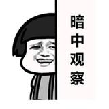 暗中观察头像