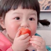 比邻星的个人资料头像