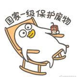 草莓丶Murphy头像