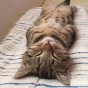 zh523的个人资料头像