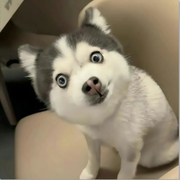 普通朋友的个人资料头像