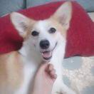 A点易东的个人资料头像