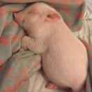 钮祜禄丽的个人资料头像