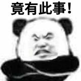 开一破大众头像
