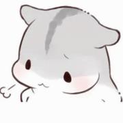 菜鸟程序媛陈的个人资料头像