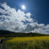 浮云的蛤蟆头像