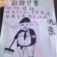 天蓬原帅968头像