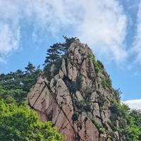 多才天空Ml头像