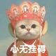 丑🐱叫蛋挞头像