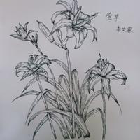 ALINA803头像