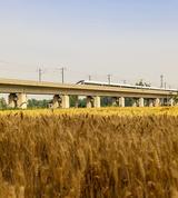 小马转版图头像