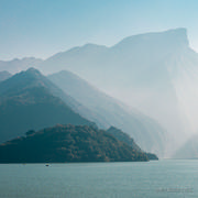 虎爷的个人资料头像